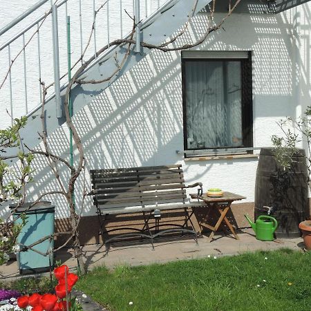 Apartement Am Kirschbaum Mommenheim Ngoại thất bức ảnh