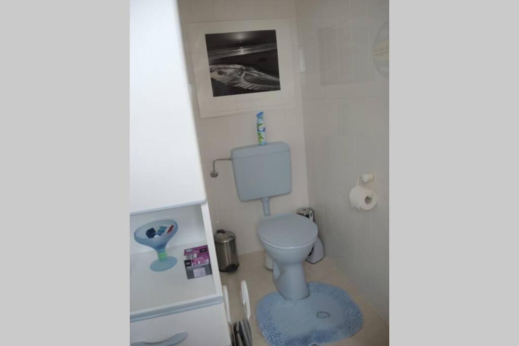 Apartement Am Kirschbaum Mommenheim Ngoại thất bức ảnh