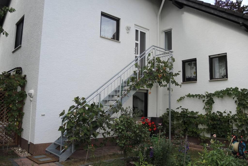 Apartement Am Kirschbaum Mommenheim Ngoại thất bức ảnh