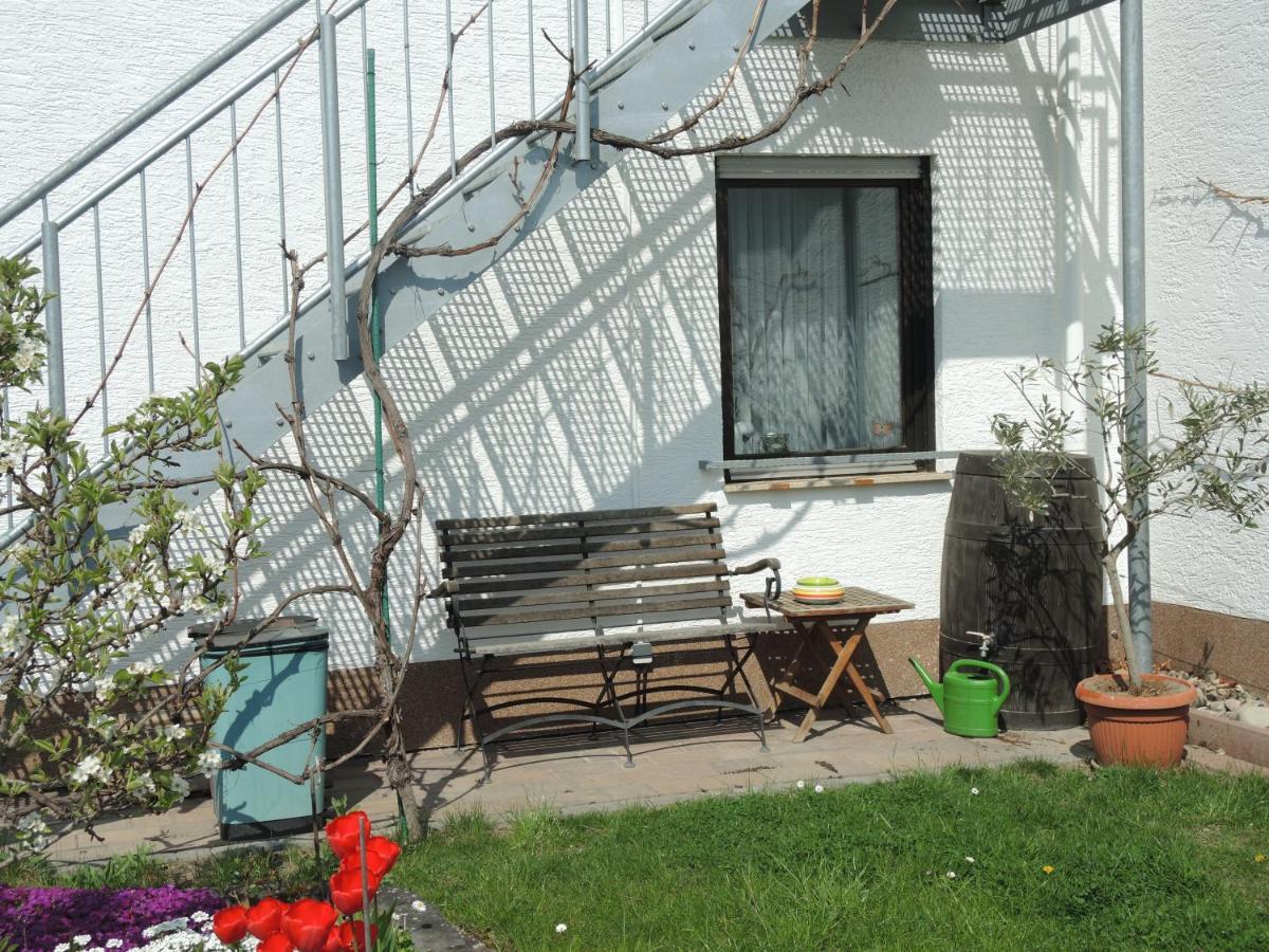 Apartement Am Kirschbaum Mommenheim Ngoại thất bức ảnh